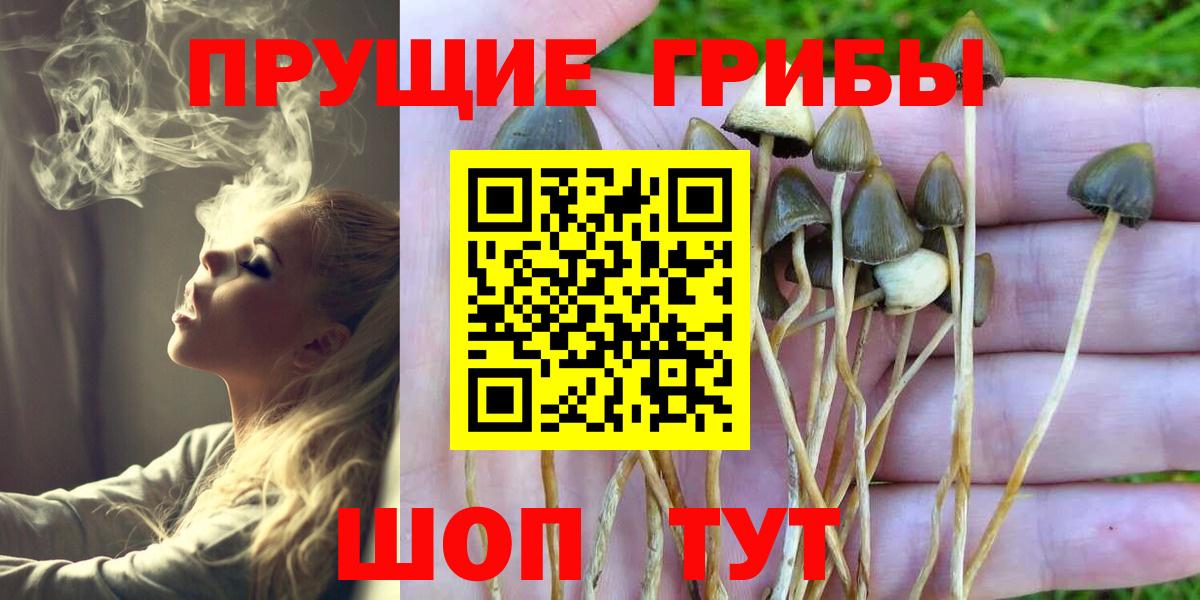 Псилоцибиновые грибы мухоморы  Вход с VPN  Славянск-на-Кубани 